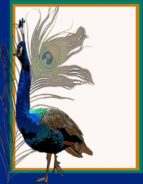 peacock invitation template 2