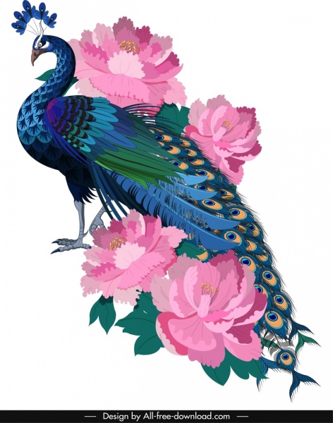 peacock painting colorful elegant sketch blooming flowers decor