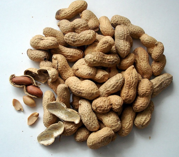 peanuts nuts cores 