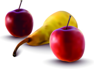 pear and apple design vector illustration
