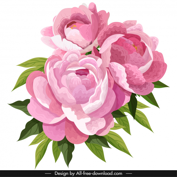 peony flower painting colored vintage design