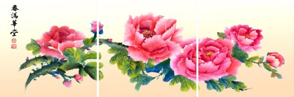 peony highdefinition picture 