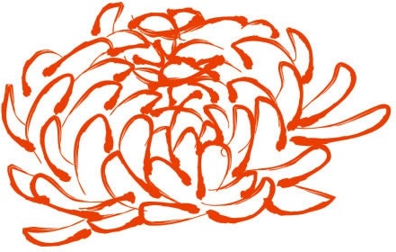 peony drawing colored handdrawn sketch