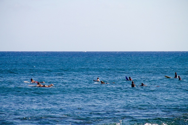 people on surf boards paddling in ocean