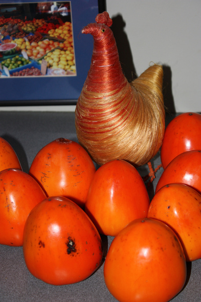 persimmons ripening 