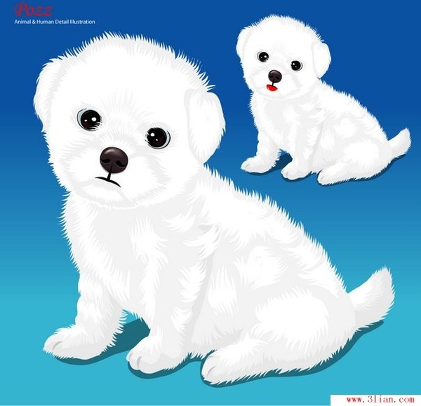 Pet dog vector Vectors graphic art designs in editable .ai .eps .svg