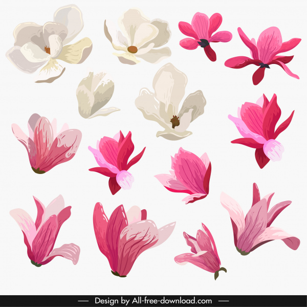 petals icons colored classical design