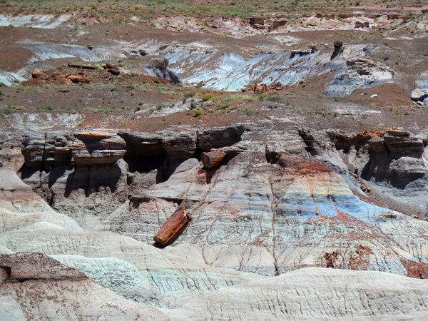 petrified forest national park stony wood colorful