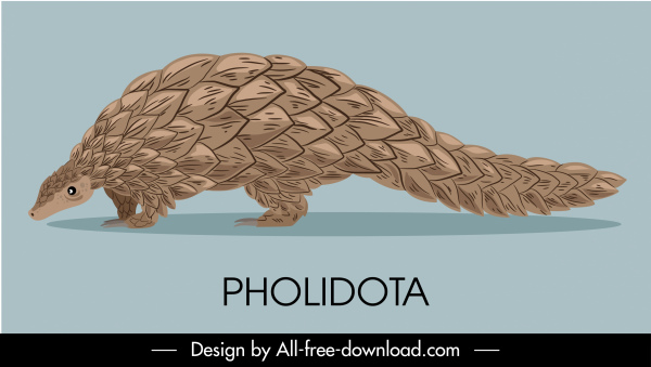 pholidota species icon classic handdrawn sketch