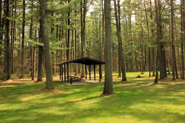 picnic area at rocky arbor state park wisconsin 