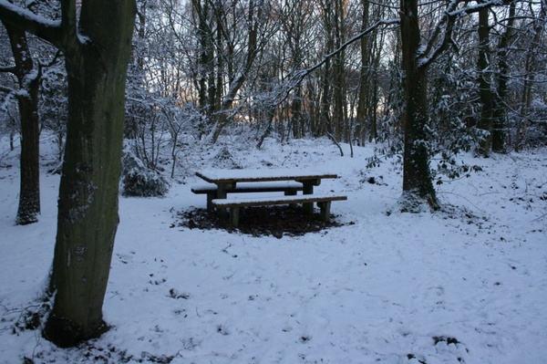 picnic bench in snow 2