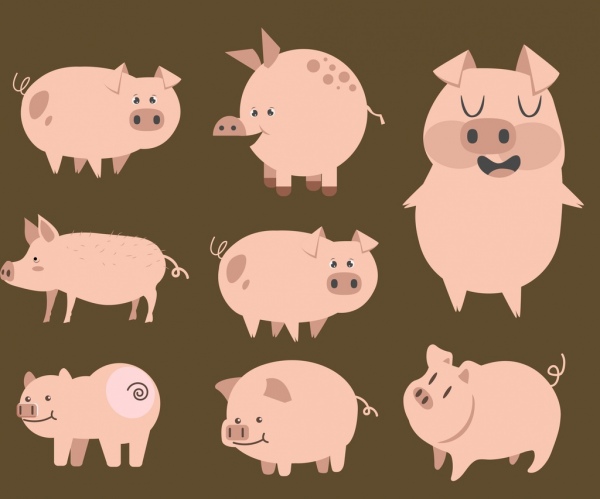pig icons collection cute cartoon characters