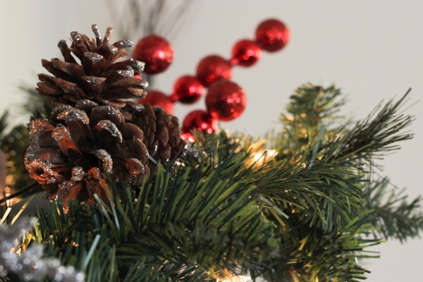 pine cones on wreath decor