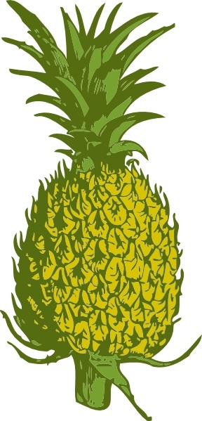 Pineapple clip art