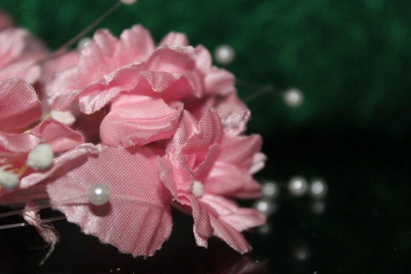pink flower 4