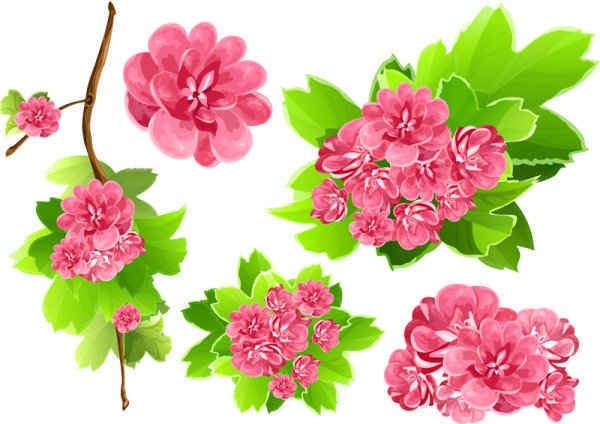 Pink Flowers Vector background