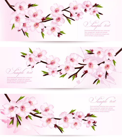 pink sakura banner vector