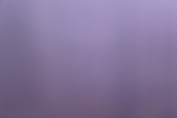 plain violet background 