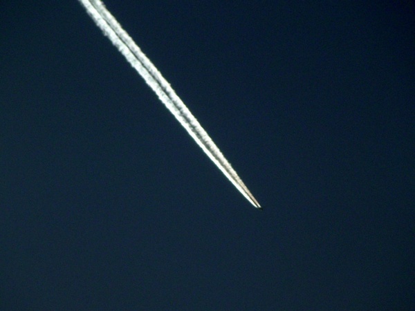 plane in sky