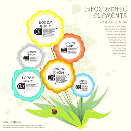 plant flower infographic vector 