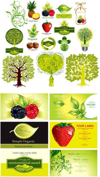 plant fruit theme vector