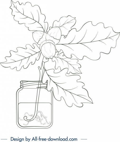 plant jar painting leaf chestnut icons handdrawn sketch