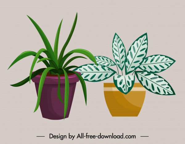 plant pot icons colored classic design