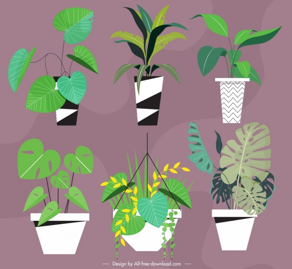 plant pots icons green leaves decor classical design