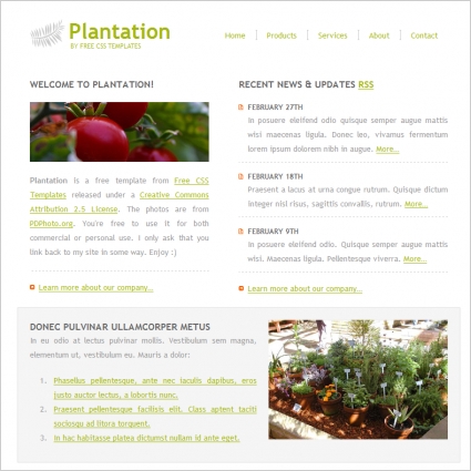 plantation 