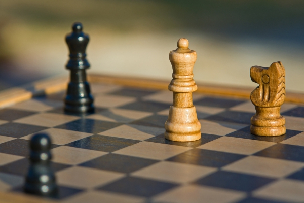 playing wooden chess pieces