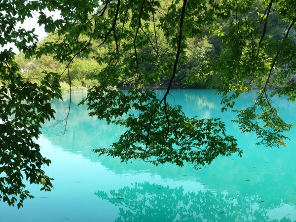 plitvice lakes blue water croatia