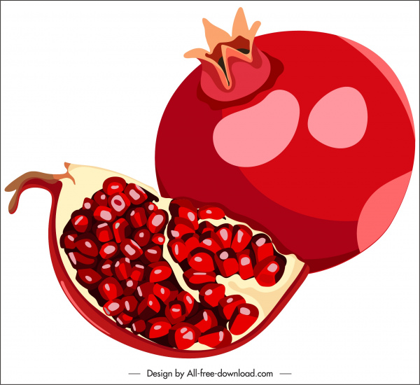 pomegranate fruit icon red classic design slice sketch