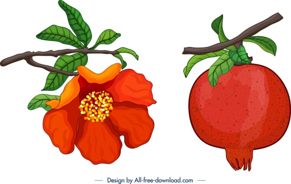 pomegranate icons fruit flower leaf branch decor