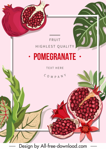 pomegranate poster template colorful classic decor