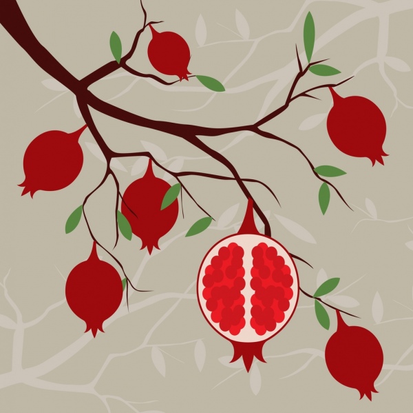 Pomegranate tree background red fruits branch decoration.
