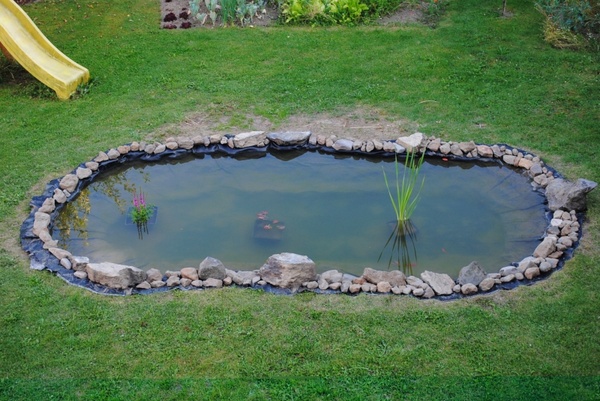 pond garden water