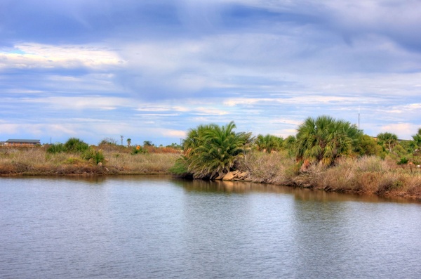 pond landscape at galveston island state park 