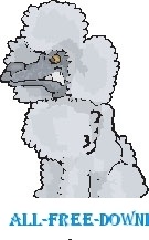 Poodle Mean 