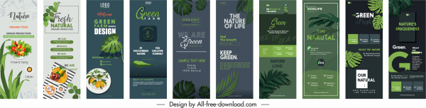poster templates modern vertical design nature elements decor