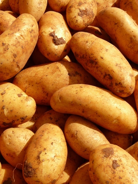 potatoes vegetables potato