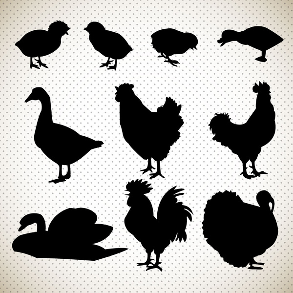 poultry vector sketches with silhouette illustration