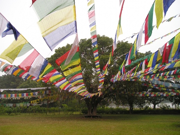 prayer flags buddhism lumpini