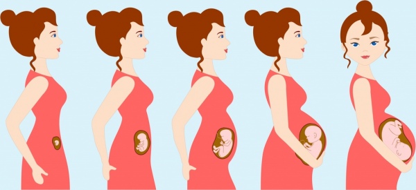 pregnancy background woman gestation steps icons cartoon character 