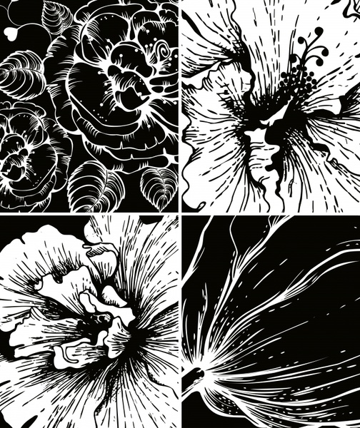 flowers background black white grunge handdrawn closeup design