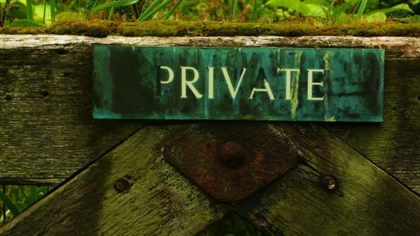 private background wood