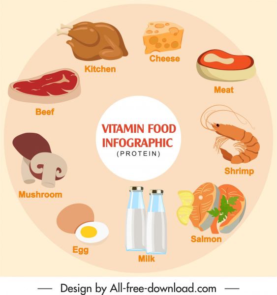 protein food infographic banner colored classic circle layout