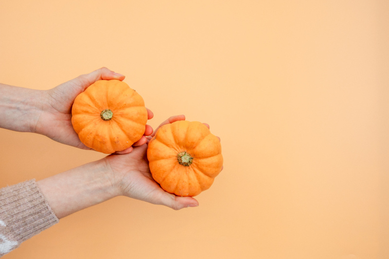 pumpkin backdrop picture hand holding realistic