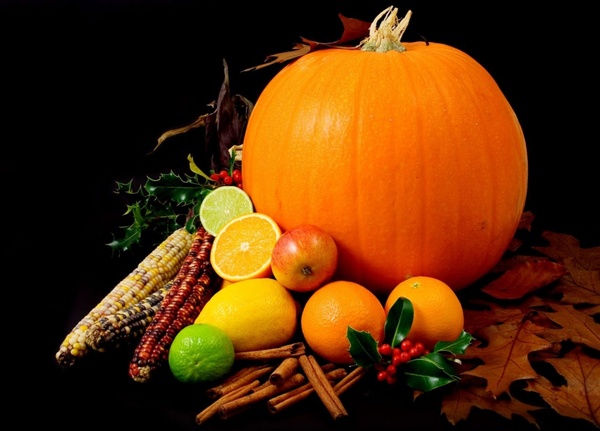 pumpkin halloween season