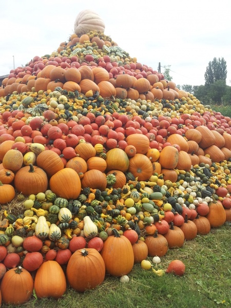 pumpkins pumpkin pumpkin pyramid