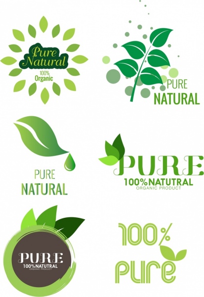 pure product logo template green leaf design 